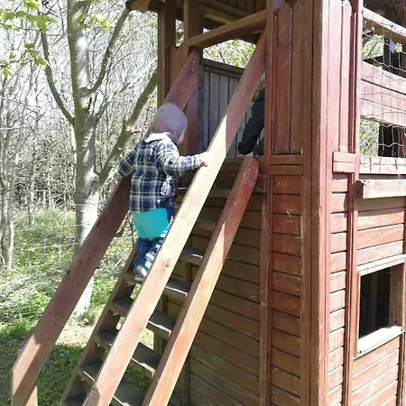 Bindesbolgard Farm Farm stay *