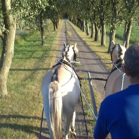 Bindesbolgard Farm Give